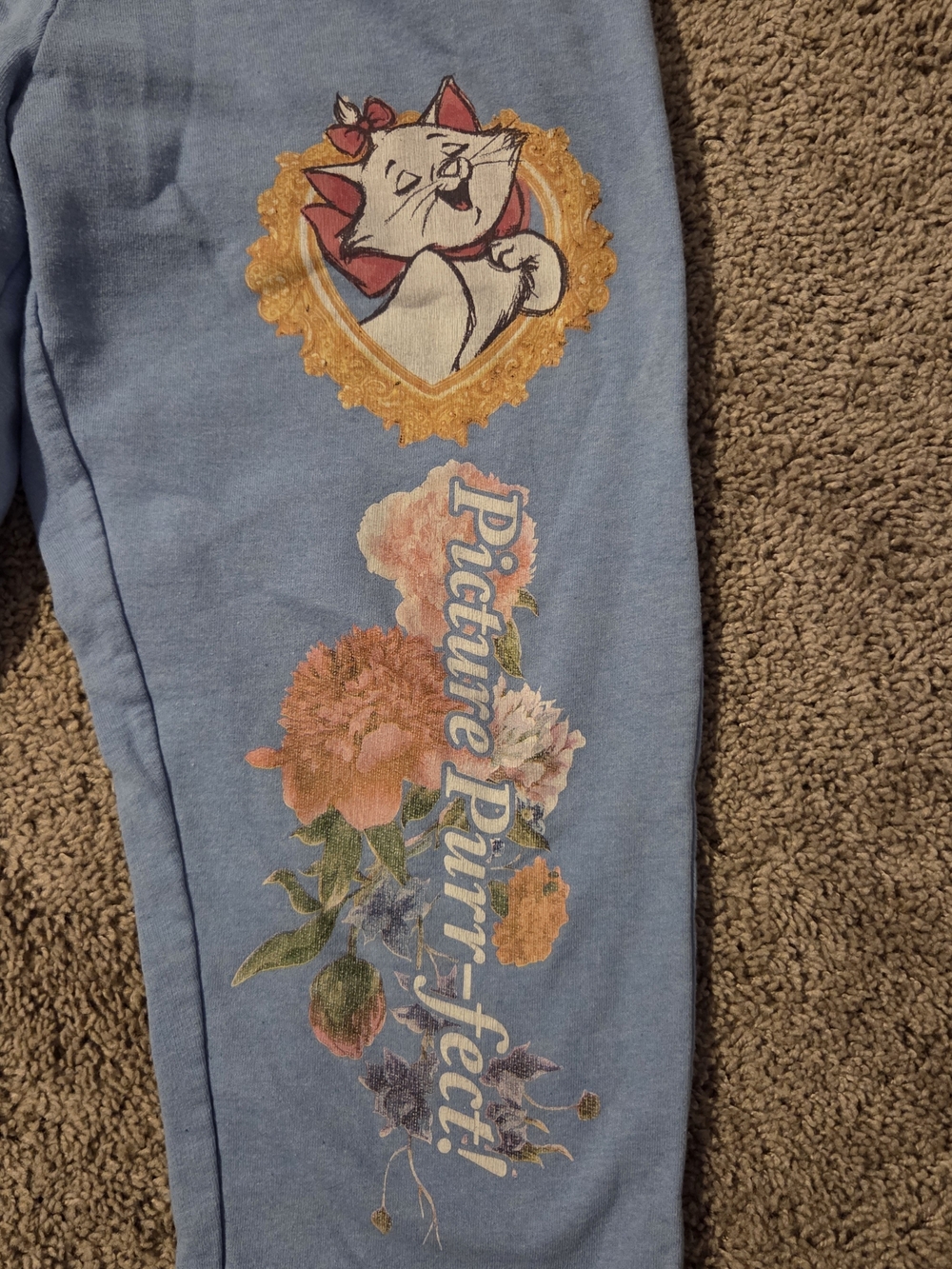 Disney Aristocats Marie Blue Floral Cat Graphic Jogger Sweatpants Medium - Picture 2 of 6